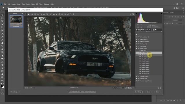 Moody Tones | Adobe Camera Raw Tutorial смотреть онлайн