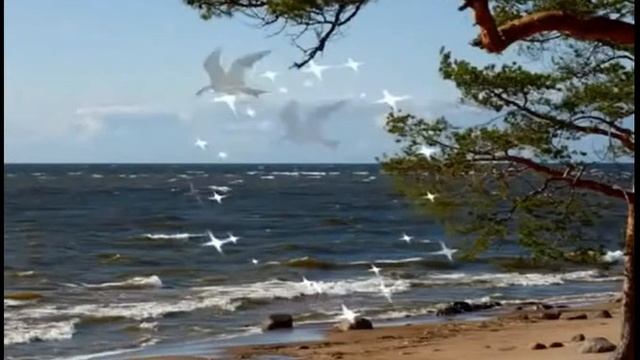 Марина Цветаева Но без любви мы гибнем Чародей!,муз и исп Самуил Фрумович смотреть онлайн