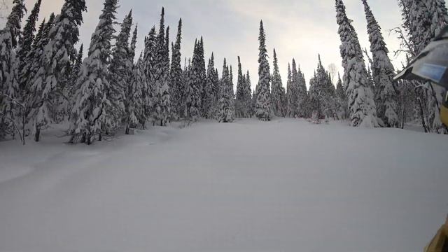 Катаем Шерегеш. Снегоход Freeride SkiDoo смотреть онлайн