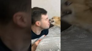 парень и чихуахуа ?? (3 часть)