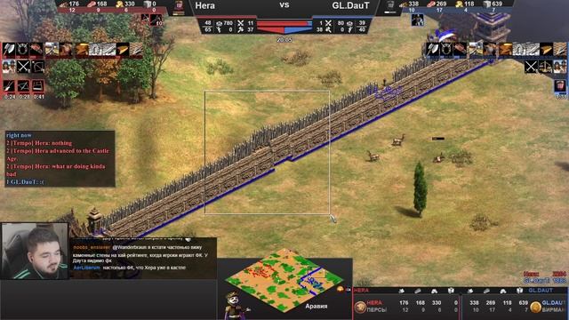 ИДЕАЛЬНАЯ ЗАЩИТА?! Каменная стена на пол карты! Стратегия Age of Empires 2 смотреть онлайн