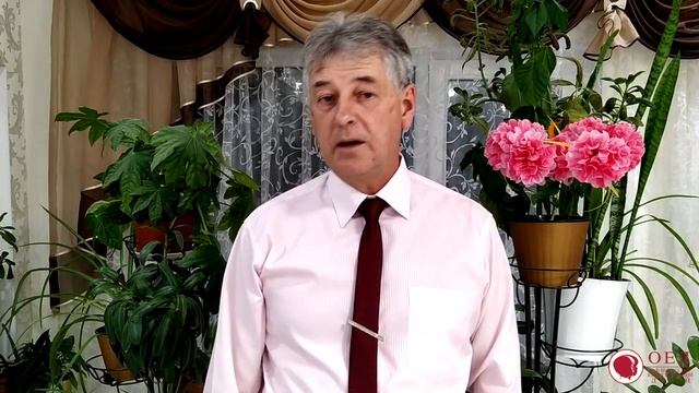 Кружок Добрая Весть: Хлеб Жизни смотреть онлайн