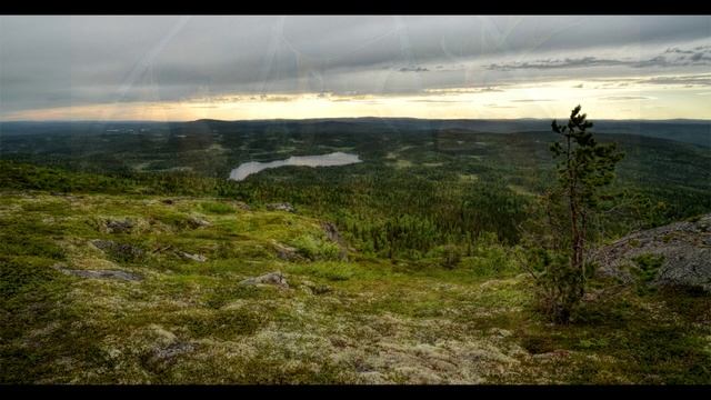 Охота на мамонта - абсурд смотреть онлайн