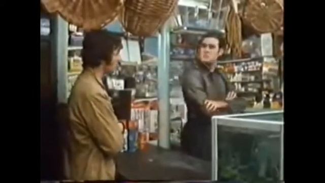 NIRVANA POLLY LIVE.MONTY PYTHON PARROT SKETCH смотреть онлайн