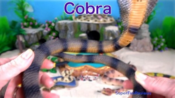 Snakes Serpent Reptile Viper Basilisk Vermin Slithery Nope Ropes 9