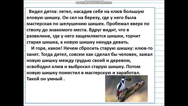 Видеоурок во 2 классе  Тема  'Текст Типы текстов'