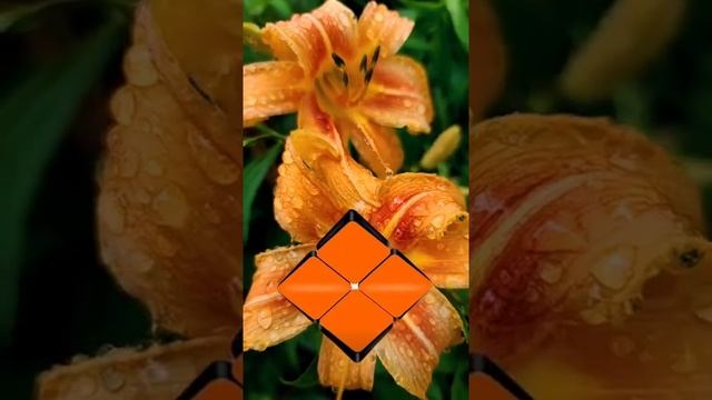 Что означает твой любимый цвет ? смотреть онлайн