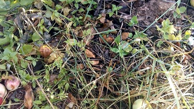 Фотография Пейзажей