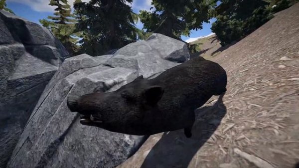 Повышаем FPS + Полезные фишки в Rust 59 devblog