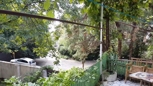 Отдых в Грузии Жилье в Тбилиси двор с виноградом Изабелла смотреть онлайн