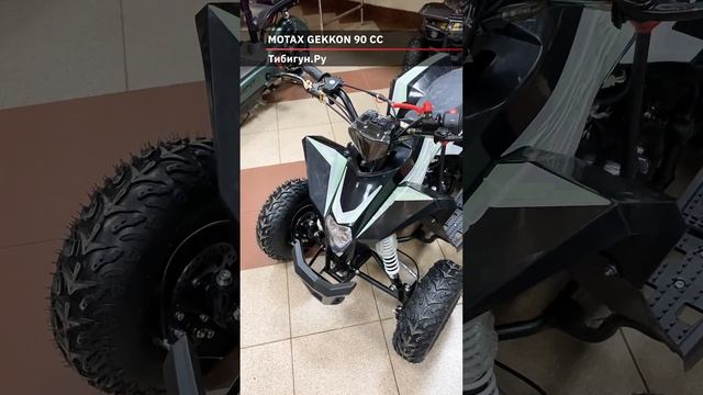 Детский квадроцикл на бензине Motax GEKKON 90 cc от Тибигун.Ру смотреть онлайн