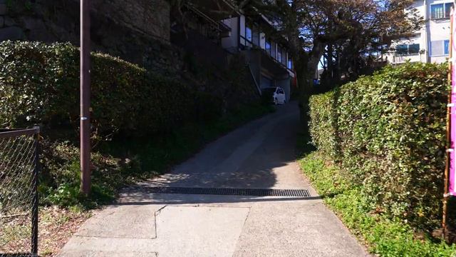 【Вид на цветущую сакуру на горе Есино】 Прогулка от Симосенбона до Камисенбона - JAPAN in 4K смотреть онлайн