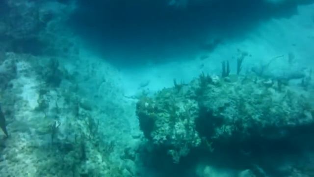 Snorkeling in the Bahama's смотреть онлайн