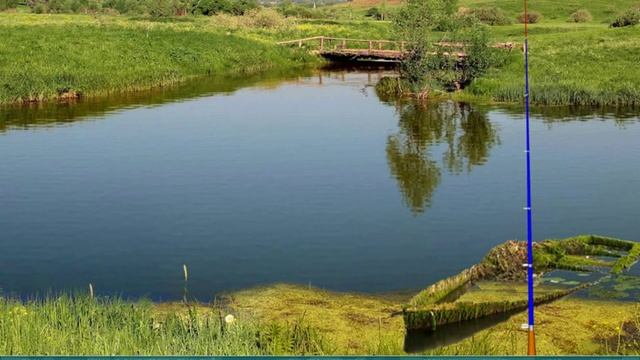 Как скачать и отправить файл турнира (Наша Рыбалка) смотреть онлайн