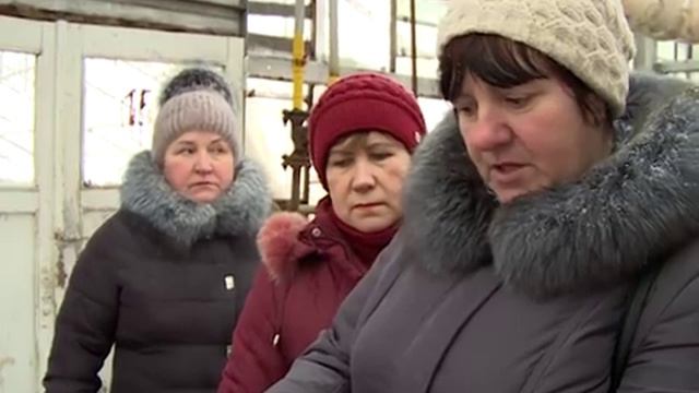 60 тысяч штук рассады замёрзли в сельхозкооперативе Череповецкого района смотреть онлайн