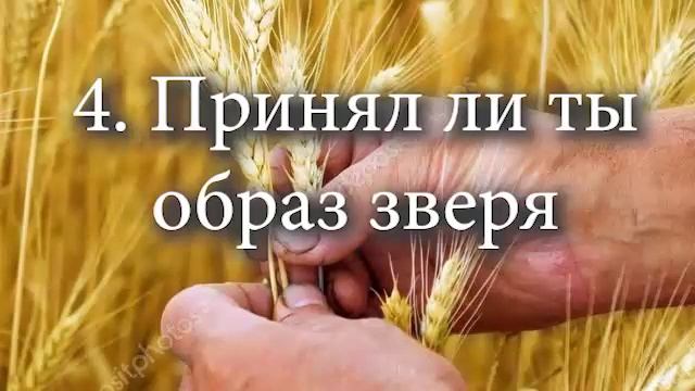 4 Принял ли ты образ зверя смотреть онлайн