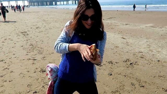СЕВЕРНОЕ МОРЕ, Гаага// Vlog смотреть онлайн