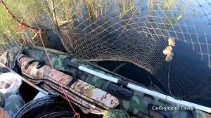 Рыбалка Мордушкой(Вершой) в Болоте/Жёлтый Карась/Ротан на удочку