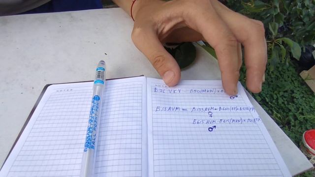 Матка с изолированного облетника Ламенка смотреть онлайн