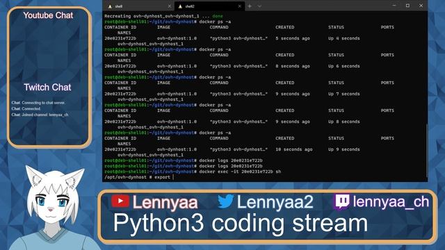 Python3 development stream - Writing a ovh-dynhost docker container смотреть онлайн