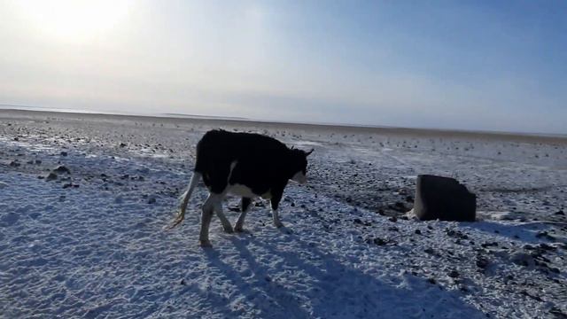 18 декабря 2023 г. смотреть онлайн