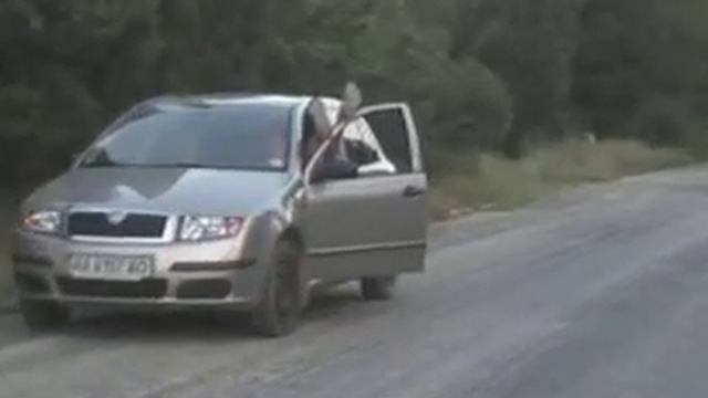 Магнитные волны смотреть онлайн