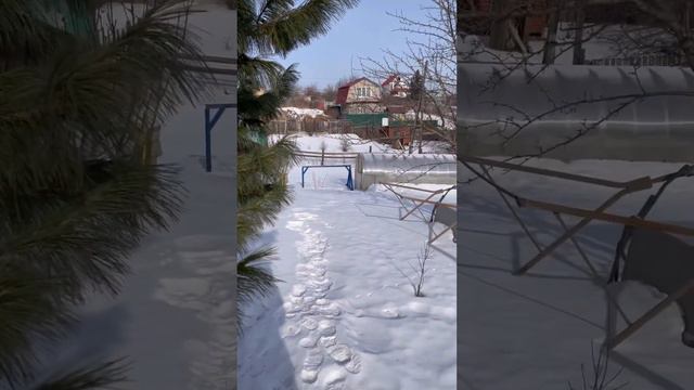 29 февраля 2024 г. смотреть онлайн