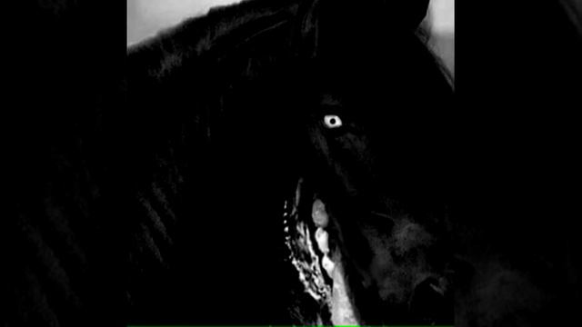 У лошади белые глаза, а внутри темно смотреть онлайн