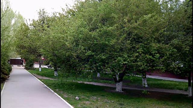 Кулешовка. Край, в котором я живу. смотреть онлайн