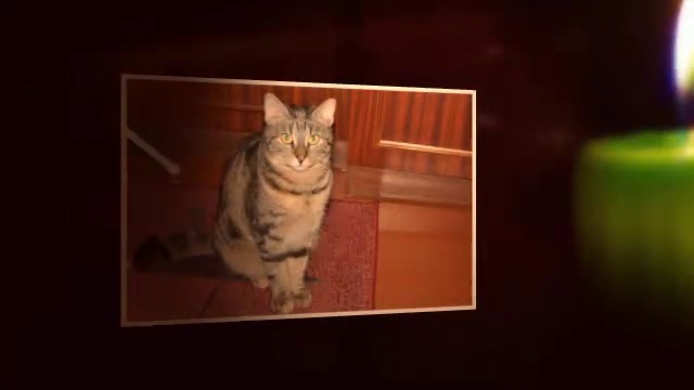 Фестиваль свечей. Видео из фото. смотреть онлайн