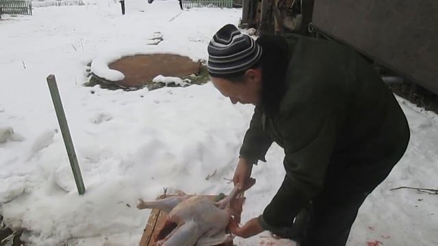 День забоя птицы//Сколько весит индюк и петушок//деревенские будни смотреть онлайн