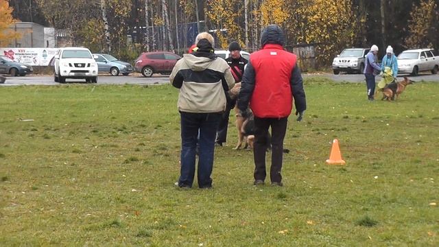 Дарена из Клана Велеса смотреть онлайн