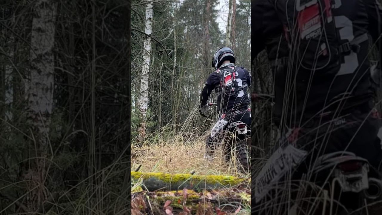 8 ноября 2023 г. смотреть онлайн