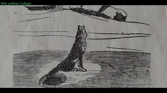 Любимые сказки. Лиса и волк. Русская народная сказка. смотреть онлайн