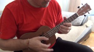 Хэпи Бёздэй на укулеле