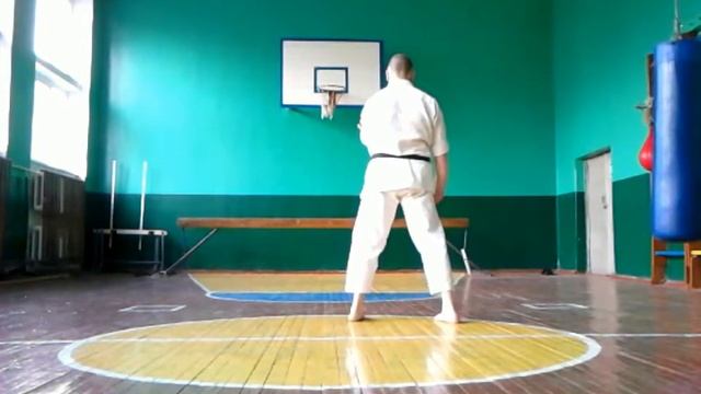 Круговая тренировка Годзю-рю каратэ Сёдокан Goju-Ryu Shodokan training смотреть онлайн