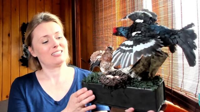 Презентация "Два тетерева" фом арт смотреть онлайн