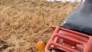 Мотоцикл ЗиД 200 "Сова". Обзор от владельца.