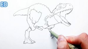 How to Draw Zombie Indominus Rex | Halloween