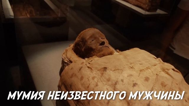 США | МУЗЕЙ ДИНОЗАВРОВ В АМЕРИКЕ ХЬЮСТОН | ПРИЗРАК МУМИИ В МУЗЕЕ? | ЦЕНТР БАБОЧЕК смотреть онлайн