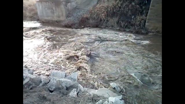 2019.04.11 Покатушка до Кислово