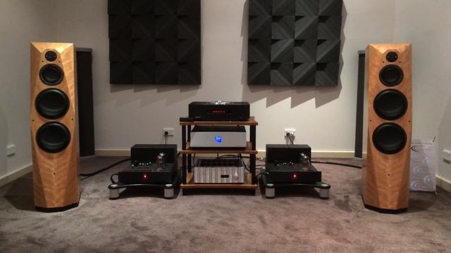 Avalon Compas Ayon CD3sx Lamm ML2.2 Purist Audio at Absolute Hi End смотреть онлайн