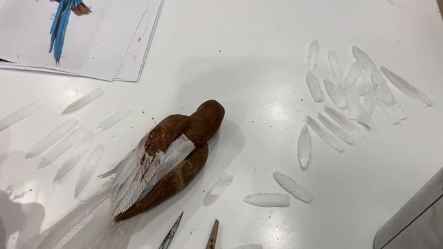 Parrot ☼ Попугай смотреть онлайн