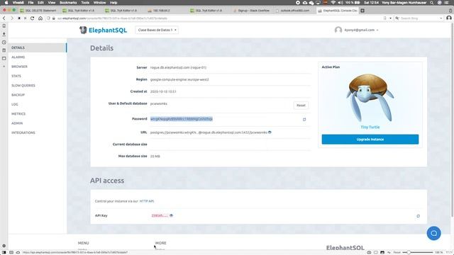 Bases de Datos: ElephantSQL, TInyTurtle y DBeaver смотреть онлайн