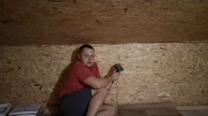 Как избавится от короеда шашеля без химии и микроволн.