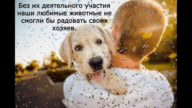 День работников ветеринарной медицины смотреть онлайн