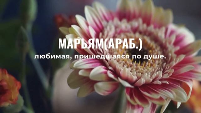 Самые красивые мусульманские имена для девочек в 2022 смотреть онлайн