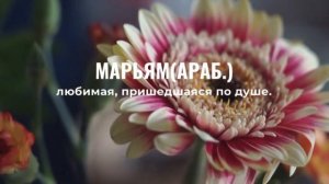 Самые красивые мусульманские имена для девочек в 2022