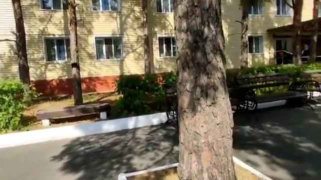 Побережье озера Катарколь, Боровое 2019(1) смотреть онлайн