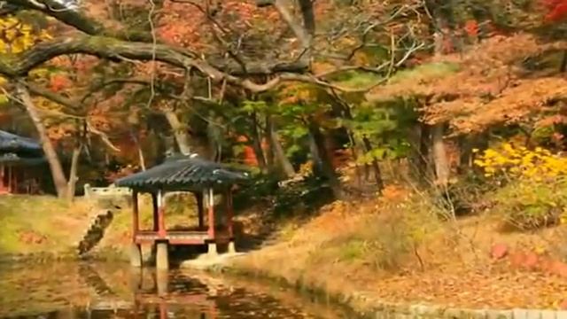 Changdeokgung Palace - Seoul, South Korea. смотреть онлайн